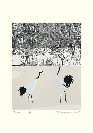 photo26.jpg