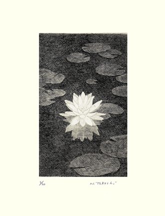 photo9.jpg