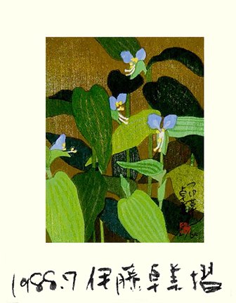 photo24.jpg