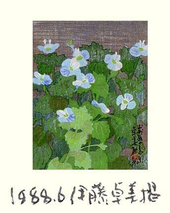 photo27.jpg