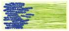 photo19_small.jpg