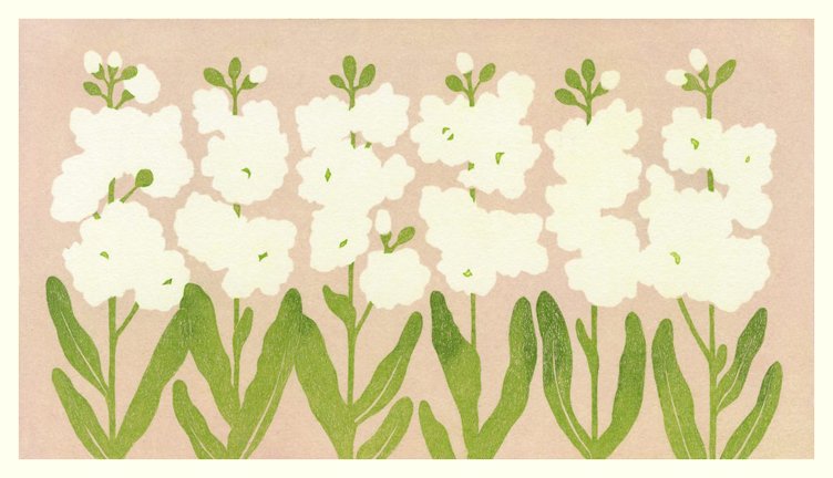photo34.jpg