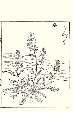 photo15.jpg