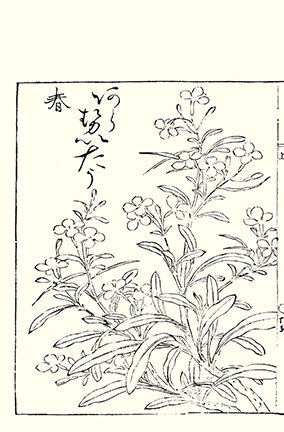 photo19.jpg