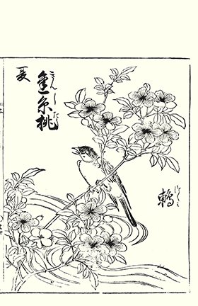 photo20.jpg