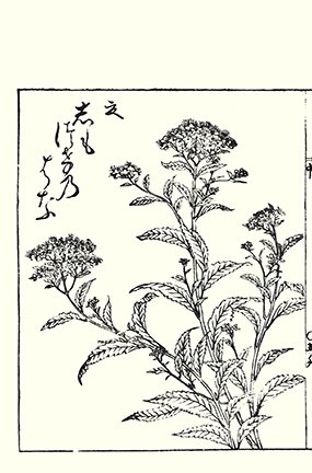 photo26.jpg