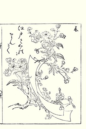 photo27.jpg
