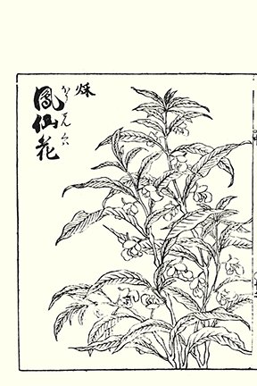 photo30.jpg