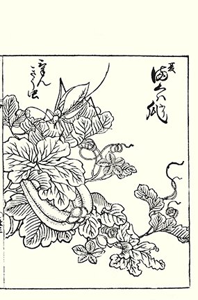 photo44.jpg