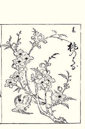 photo53.jpg