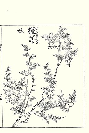photo56.jpg