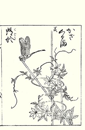 photo58.jpg