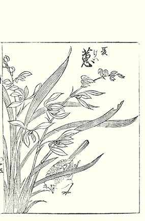 photo59.jpg