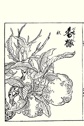 photo77.jpg