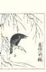 photo18_small.jpg