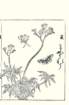 photo21_small.jpg