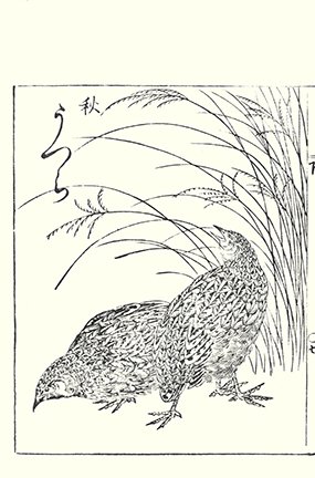 photo22.jpg