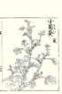 photo5_small.jpg