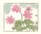 photo10_small.jpg