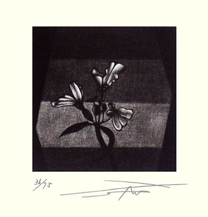 photo20.jpg