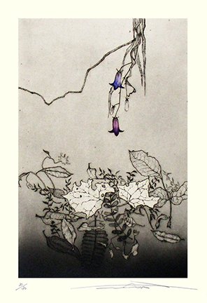 photo23.jpg