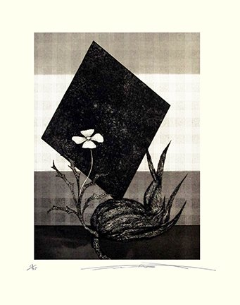 photo6.jpg