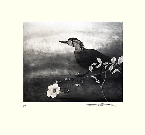 photo9.jpg