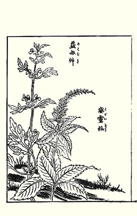 photo21.jpg