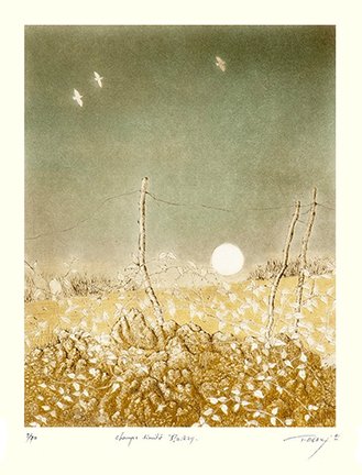 photo31.jpg