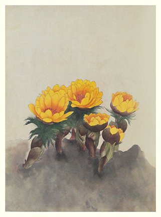 photo.jpg