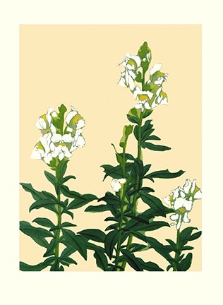 photo23.jpg