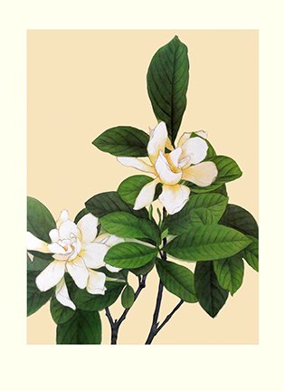 photo28.jpg