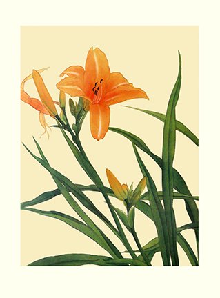 photo29.jpg
