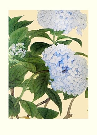 photo31.jpg