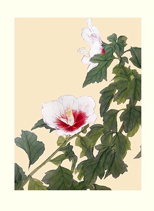 photo33.jpg