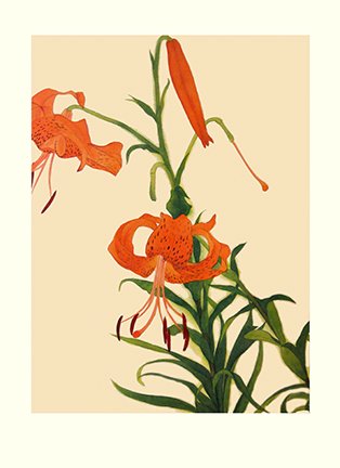 photo36.jpg