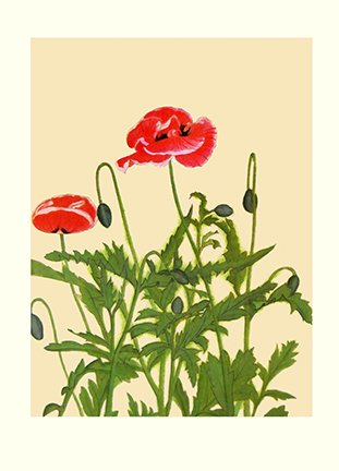 photo38.jpg