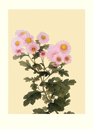 photo42.jpg