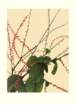 photo47_small.jpg