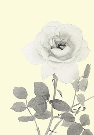 photo63.jpg