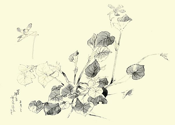 photo65.jpg