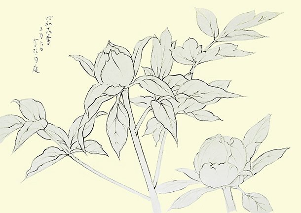 photo68.jpg