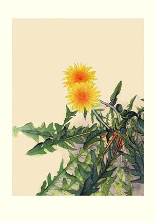 photo7.jpg