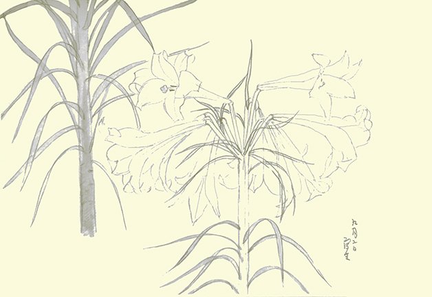 photo71.jpg
