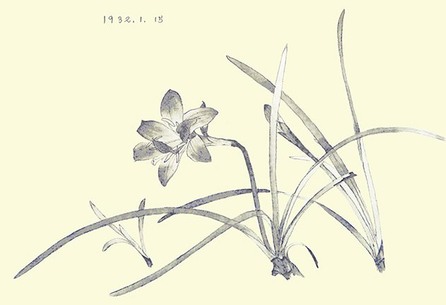 photo73.jpg