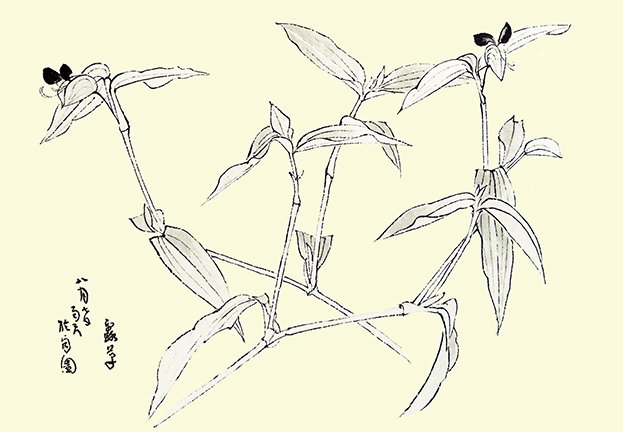 photo75.jpg