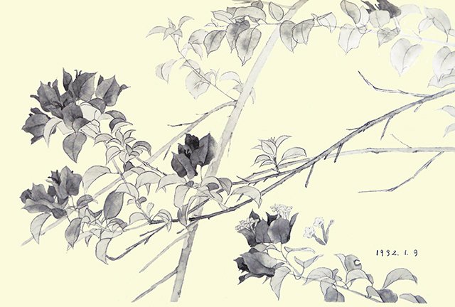photo79.jpg
