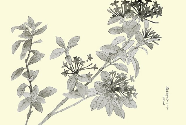 photo88.jpg