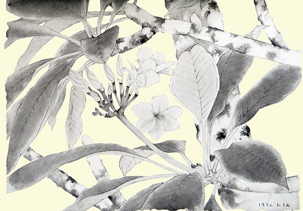 photo90.jpg