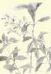 photo94_small.jpg